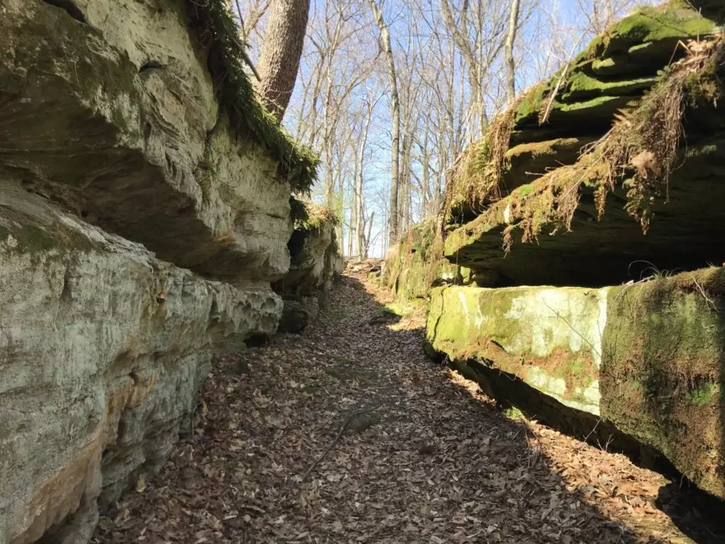 Glenford Fort Perserve